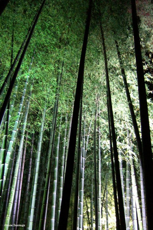 Kyoto Home 吉田 エクステリア 写真