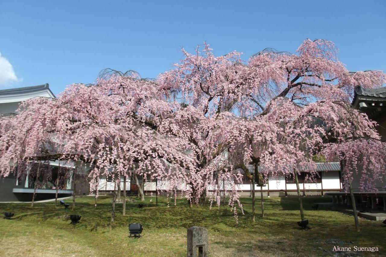 Kyoto Home 吉田 エクステリア 写真